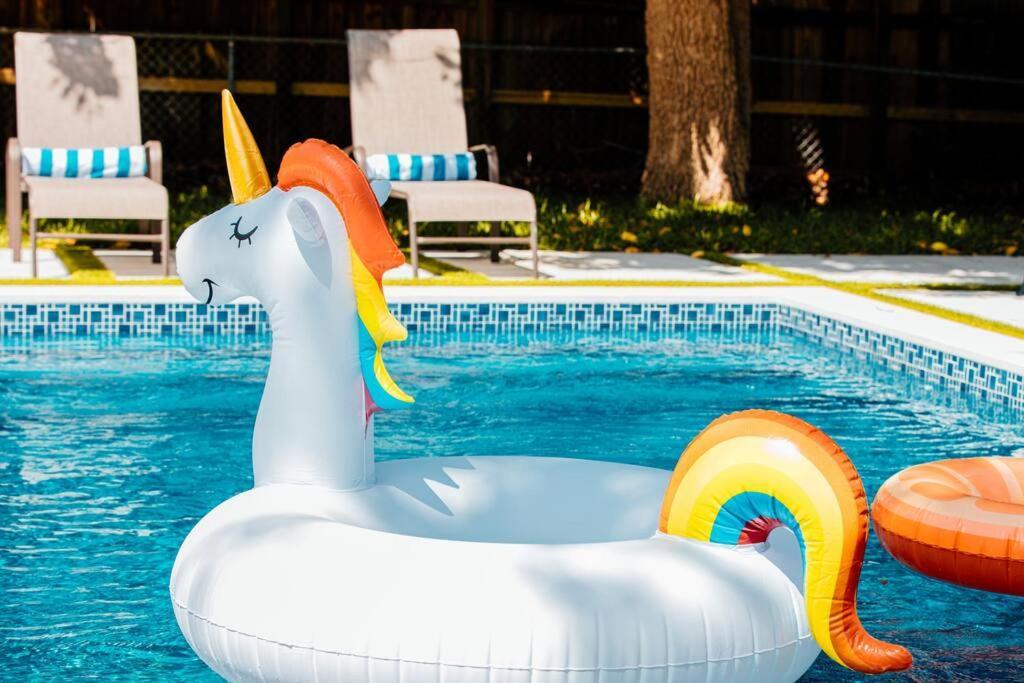 New Miami Home, Pool Near Airport And Beaches, King Bed Ngoại thất bức ảnh